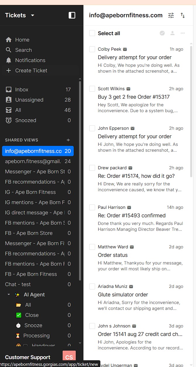 Gorgias ApeBorn Inbox